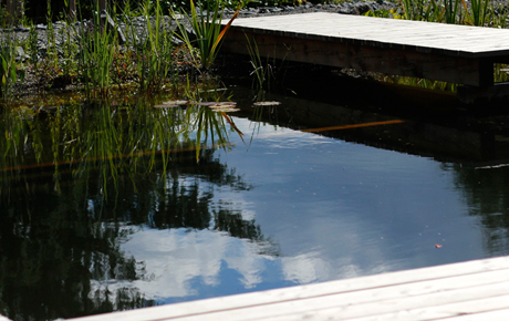 Schwimmteich