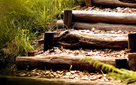 Wildholztreppe