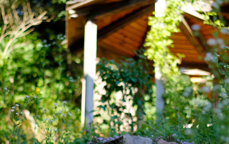 Holzpergola