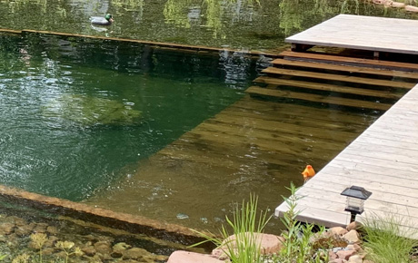 Schwimmteich