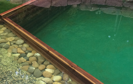 Naturpool