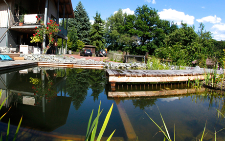 Schwimmteich
