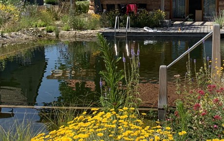 Schwimmteich